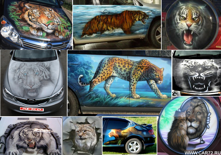 Так в сумі кішки, тигри, леви, пантери, гепарди, леопарди, леви, барси і рисі зустрілися на 31 автомобілі