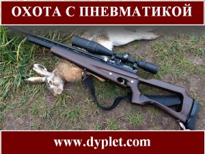 Відповідно до нормативно-правовими актами Російської Федерації мисливським пневматичною зброєю вважається зброя, яке володіє дуловою енергією не більше 25 Дж
