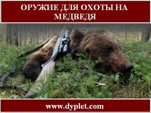 Зброя для полювання на ведмедя має бути особливим, адже належить полювати на дуже небезпечного звіра, якого застрелити одним пострілом виходить рідко, а підбір боєприпасів вимагає окремого розгляду