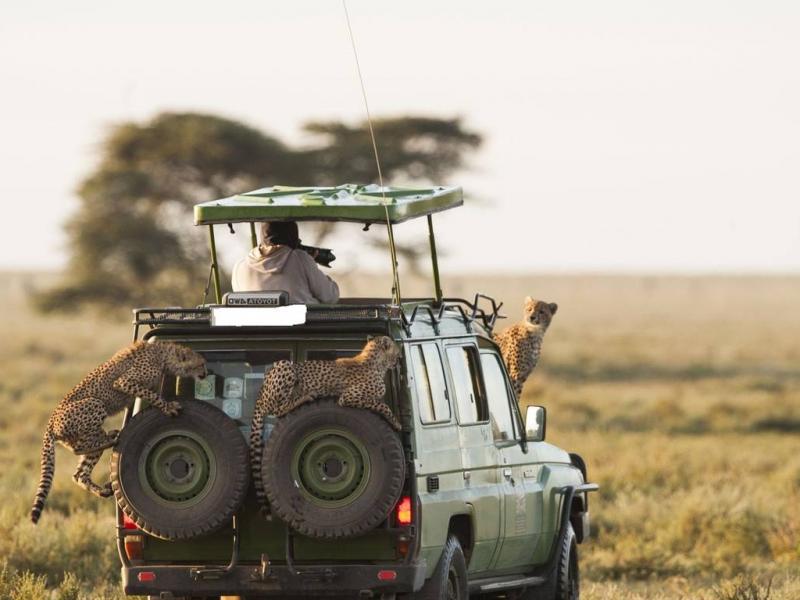 3 Day Safari in Kenya to Amboseli and Tsavo West National Parks