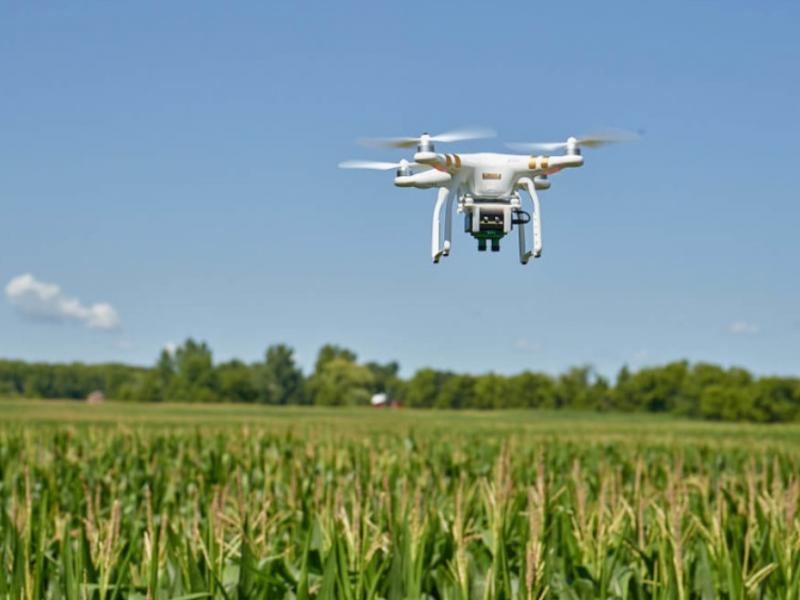 Беспилотные дроны для сельского хозяйства